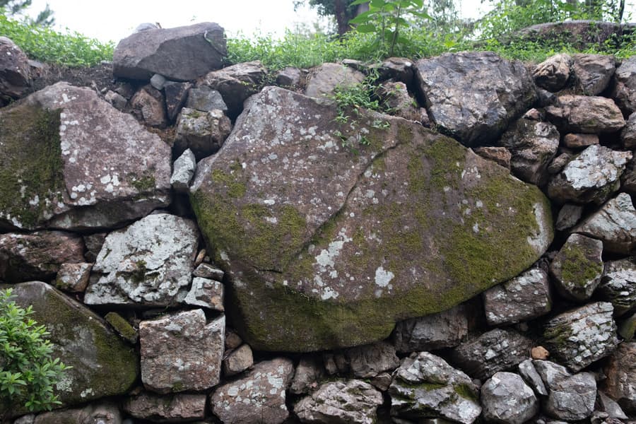 dscf9772.jpg