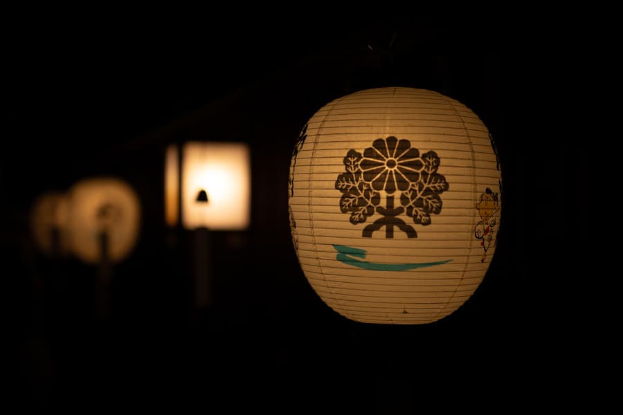 dsc_8271.jpg