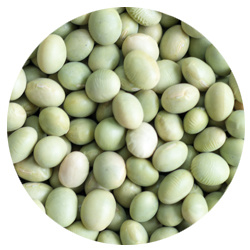 肴豆 新潟県産、大粒、豆腐、煮豆